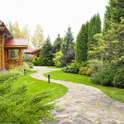 В проекте участка дорожка ведет от въезда в дом фото